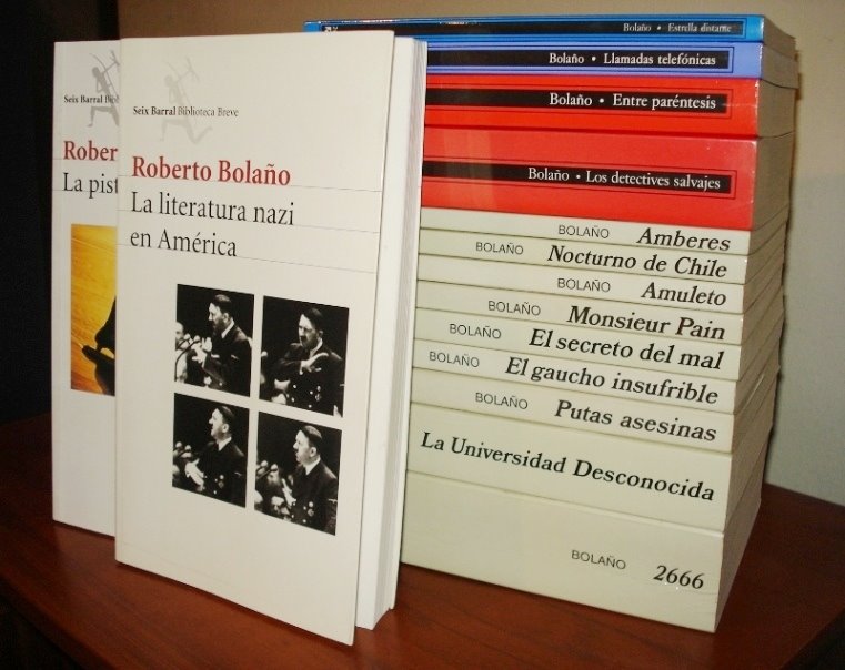 [BolaÃ±o+libros.JPG]