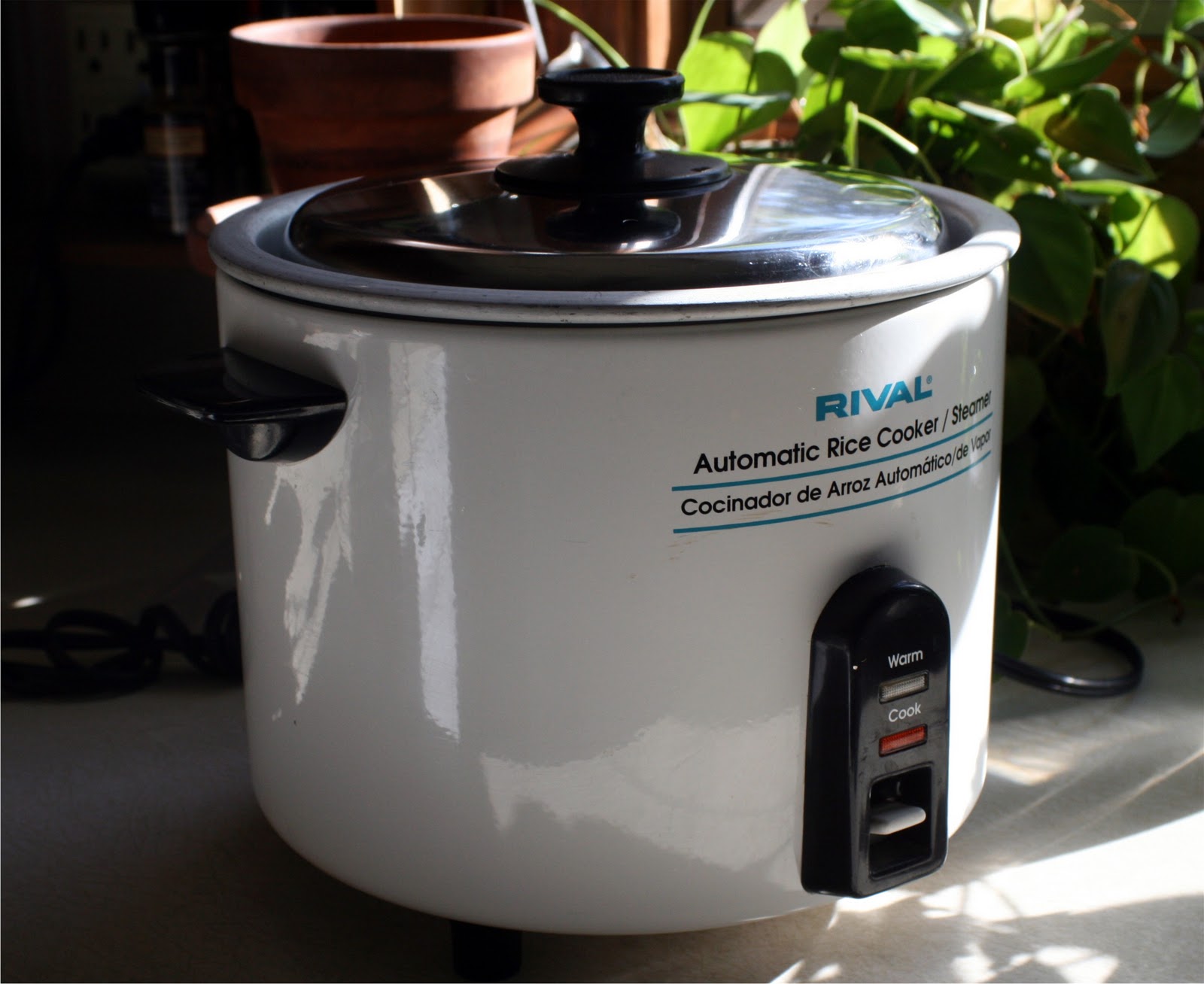 DanO's Garden Rival Model 4310 Rice Cooker and Vegetable Steamer
