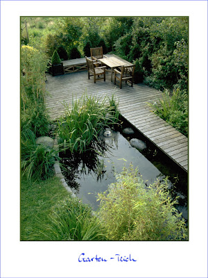 Gartenblog Geniesser-Garten : Wasser im Garten - Pool - Teich