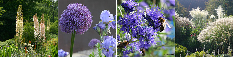 Gartenblog Geniesser Garten Staudenbeet Planen Und Anlegen