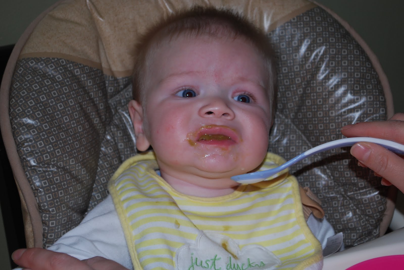  the pollard's Green Beans...yuk!