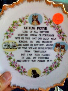 Kitten's Prayer