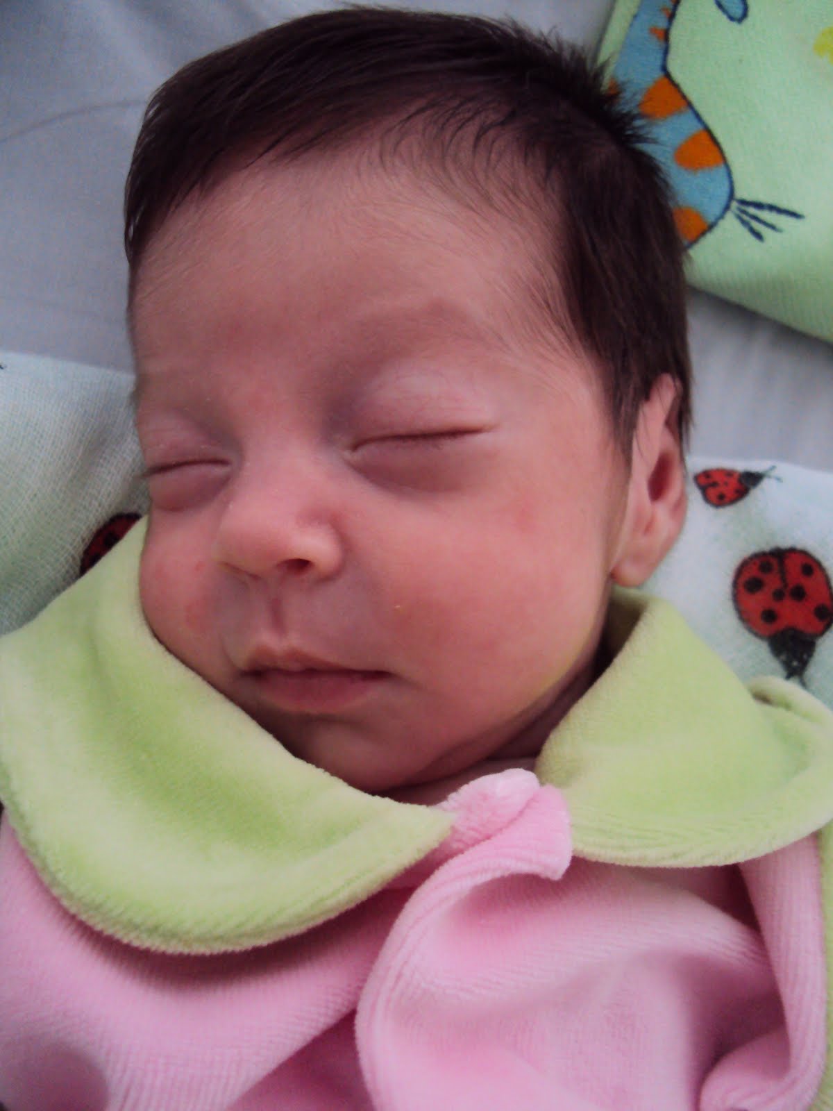 [DSC00421.JPG]