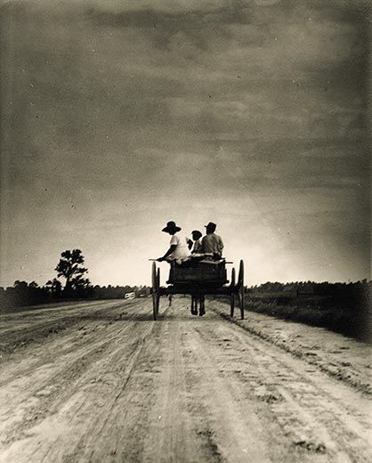 clytie by eudora welty clytie by eudora welty
