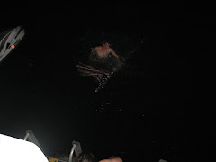 Fons jumped with the flag