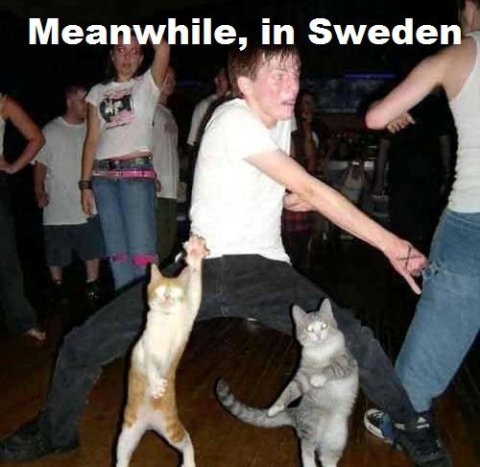 meanwhile-in-sweden.jpg