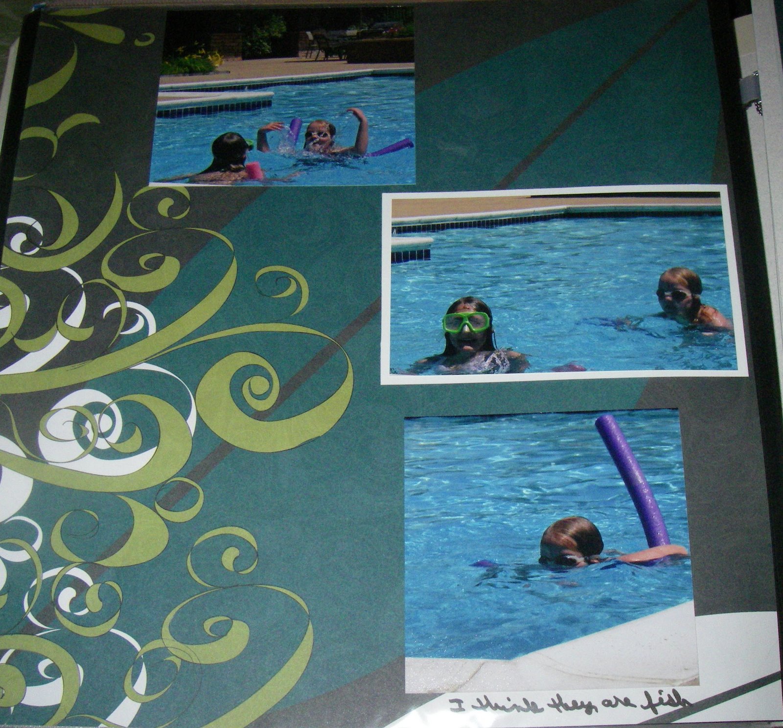 [IMGP1718_edited-1.JPG]