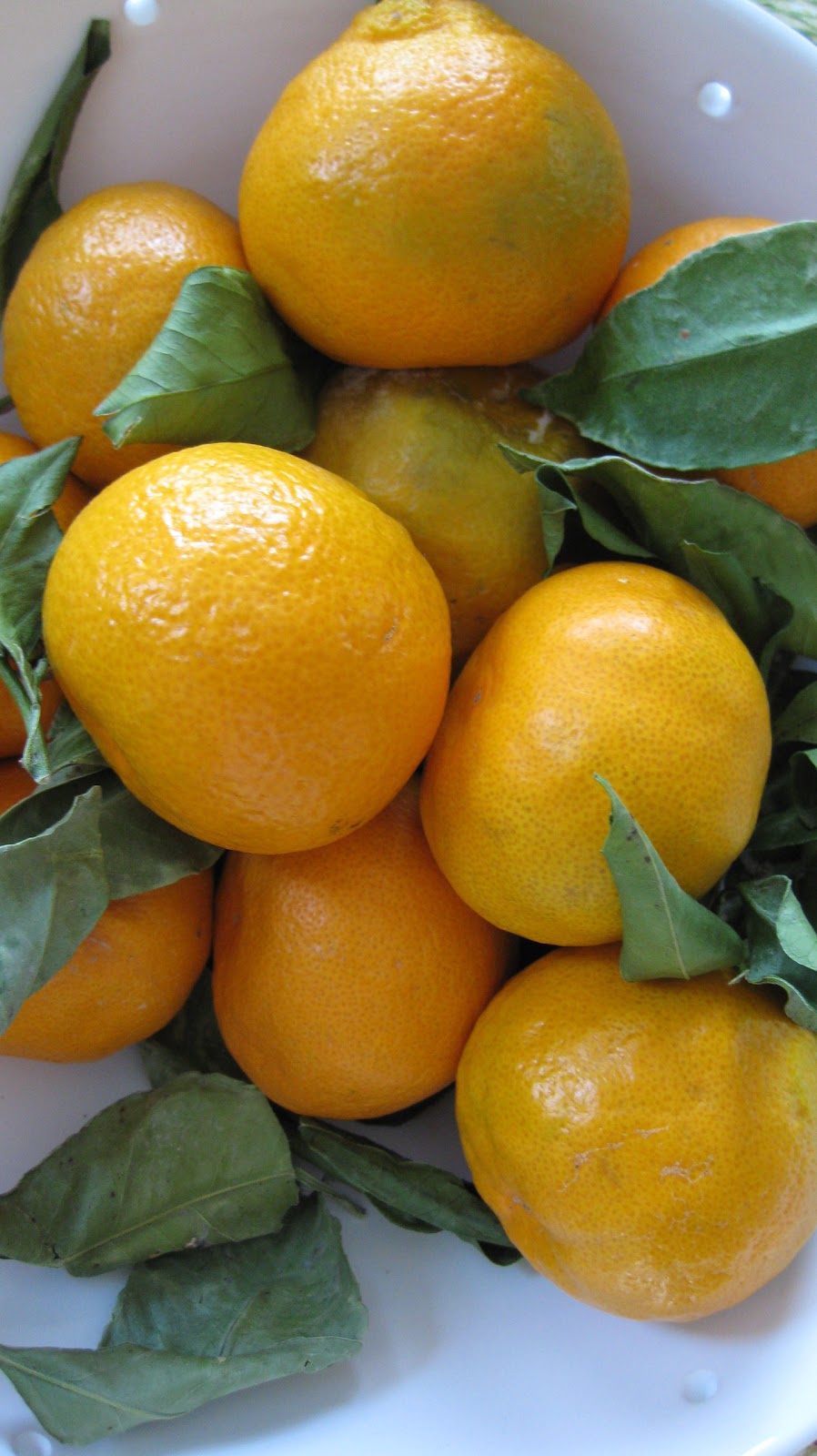 3013, a personal journal in numbers Satsuma Oranges