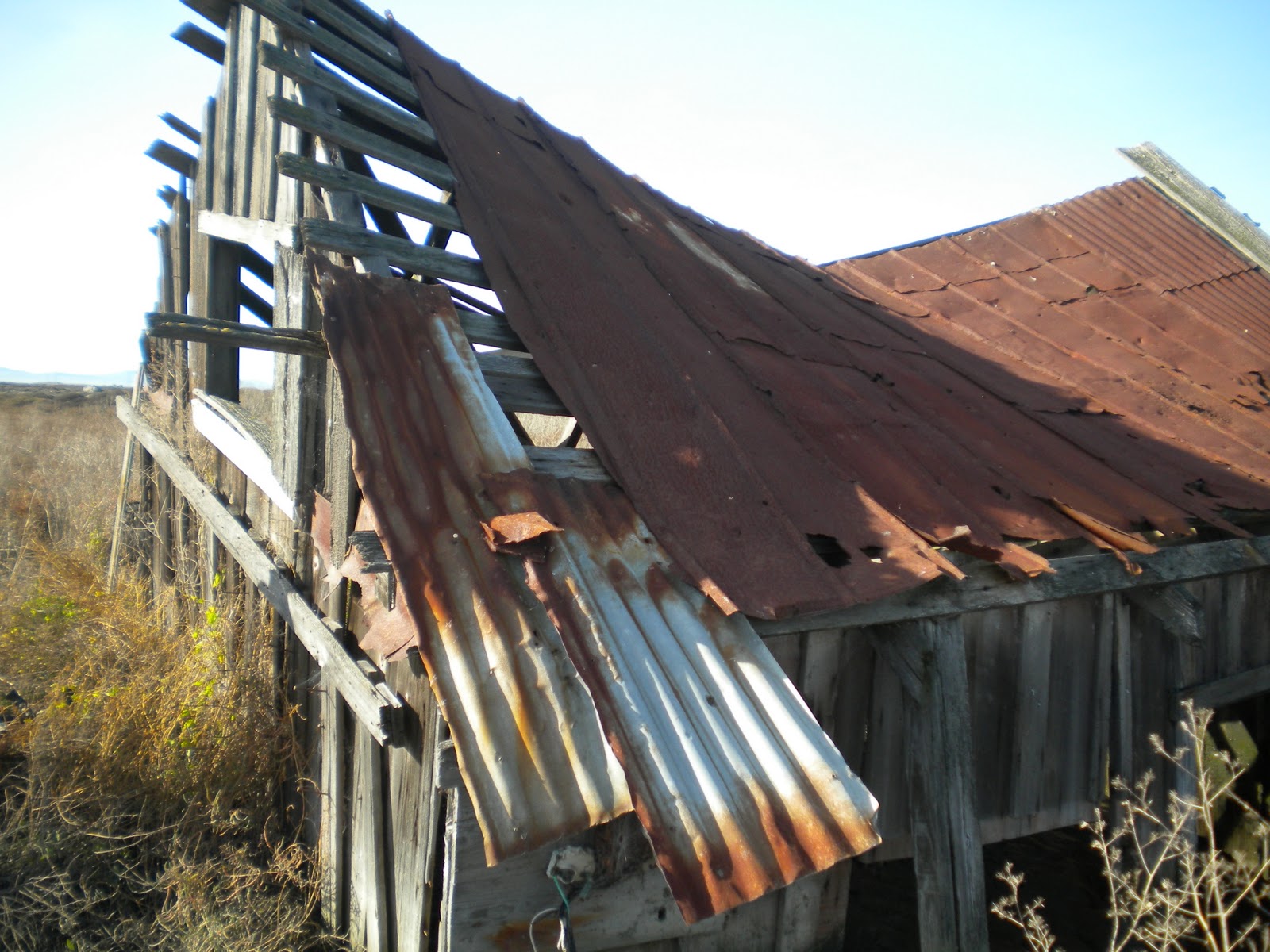CL3 Tin Roof Rusted