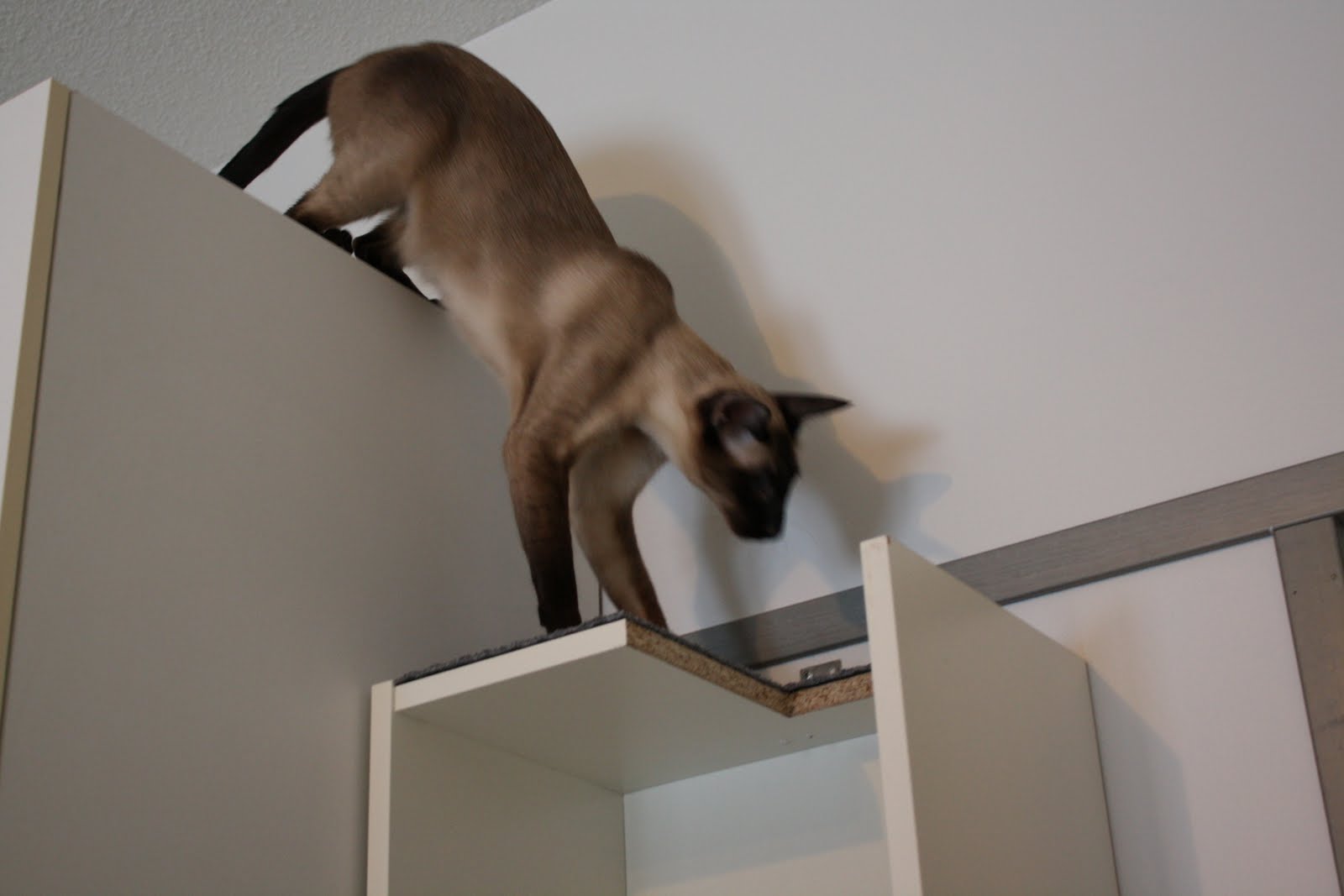 [IMG_2990-704851.JPG]