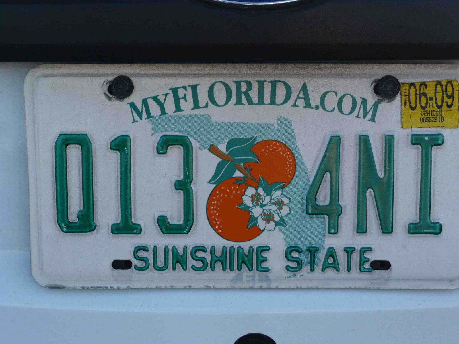 [Florida+deux+oranges.jpg]