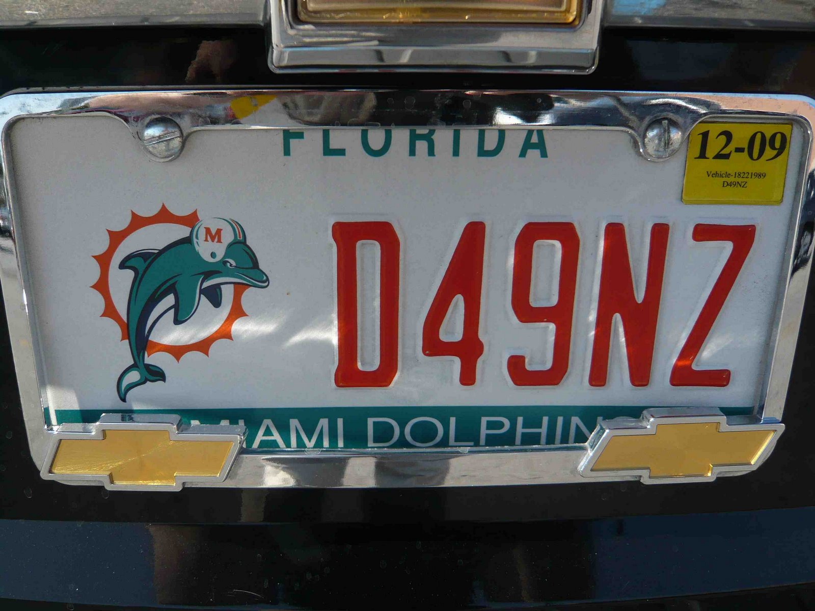 [Florida+miami+dolphins.jpg]