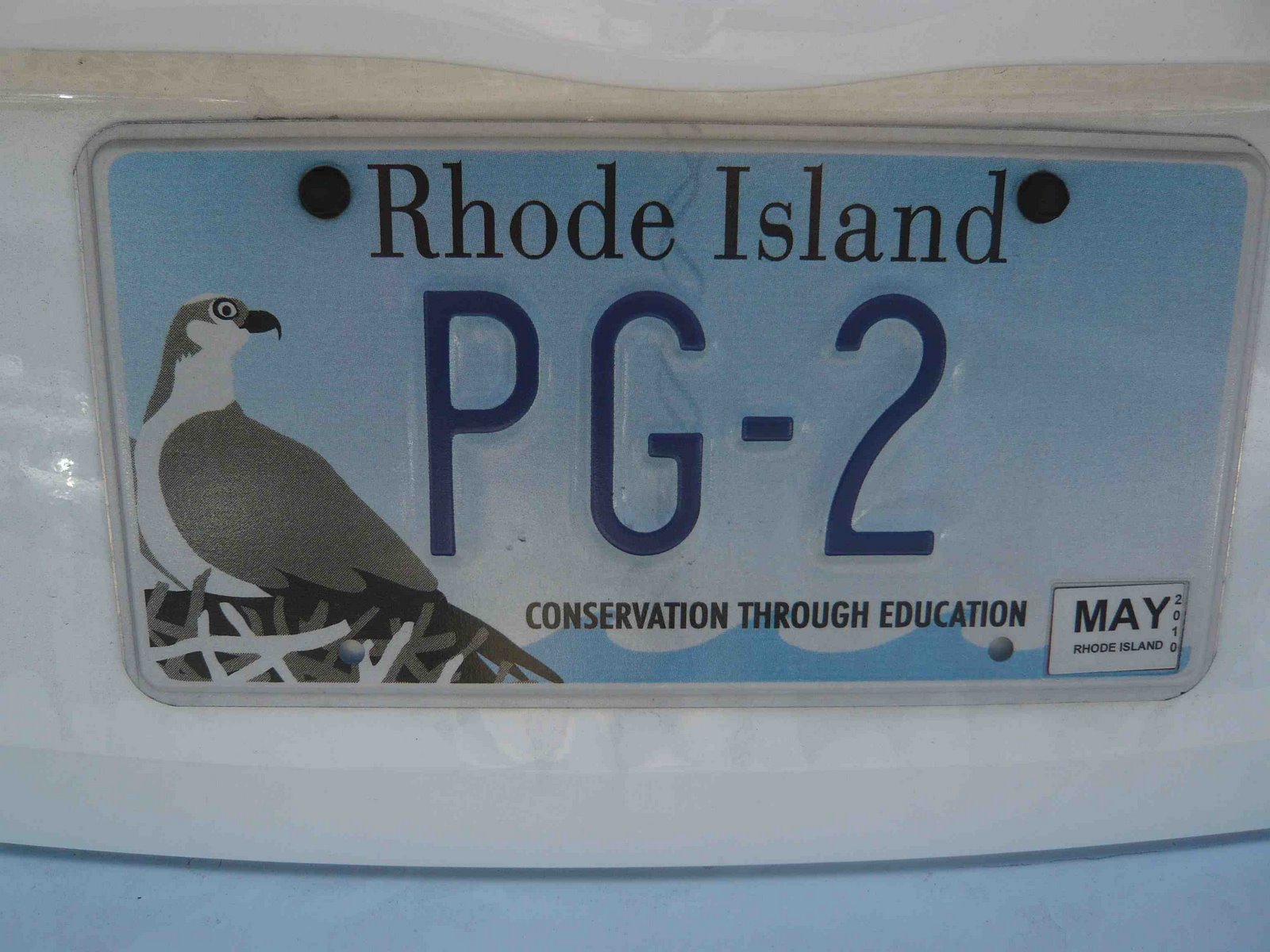 [Rhode+Island+oiseau.jpg]