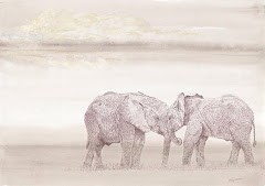 Art Prints - Elephant Pictures
