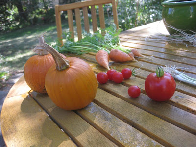october, harvest, carrots, pumpkins, tomatoes, garden