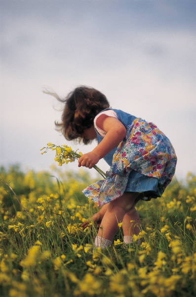Are you picking flowers at the moment. Картинки лето для детей маленького размера. Дети цветы жизни. Летний день дети в поле из произведения передышка. Лето это время неприкаянных детей.