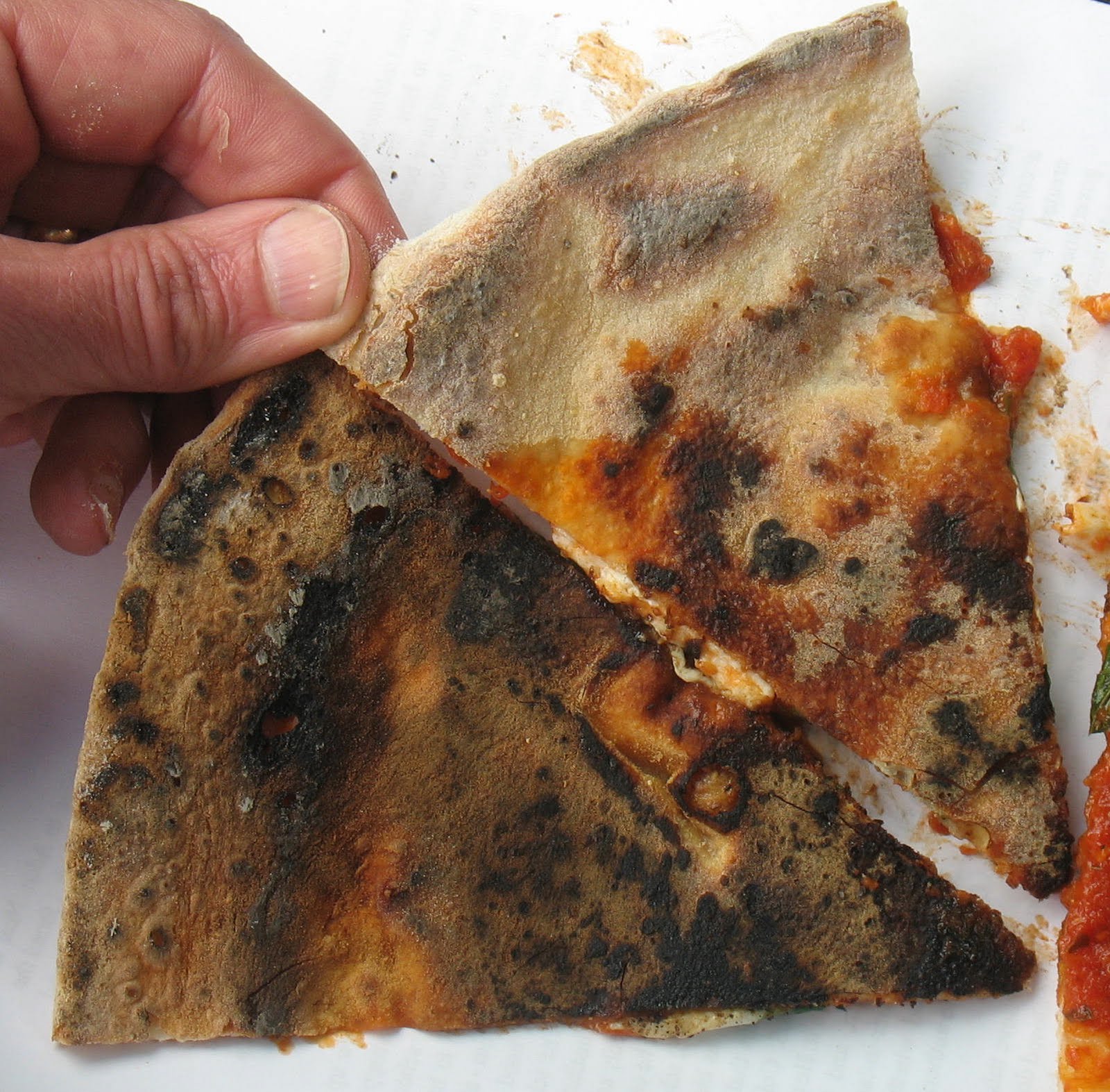 Humphrey House Penfield Ny