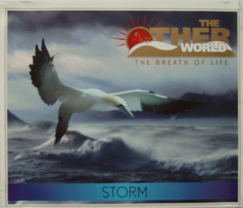 Storm World. Storm World Happy bd. Take the World by Storm. The Original Beats that took the World by Storm. Stormy перевод
