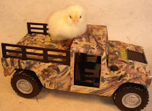 Hitching a ride!