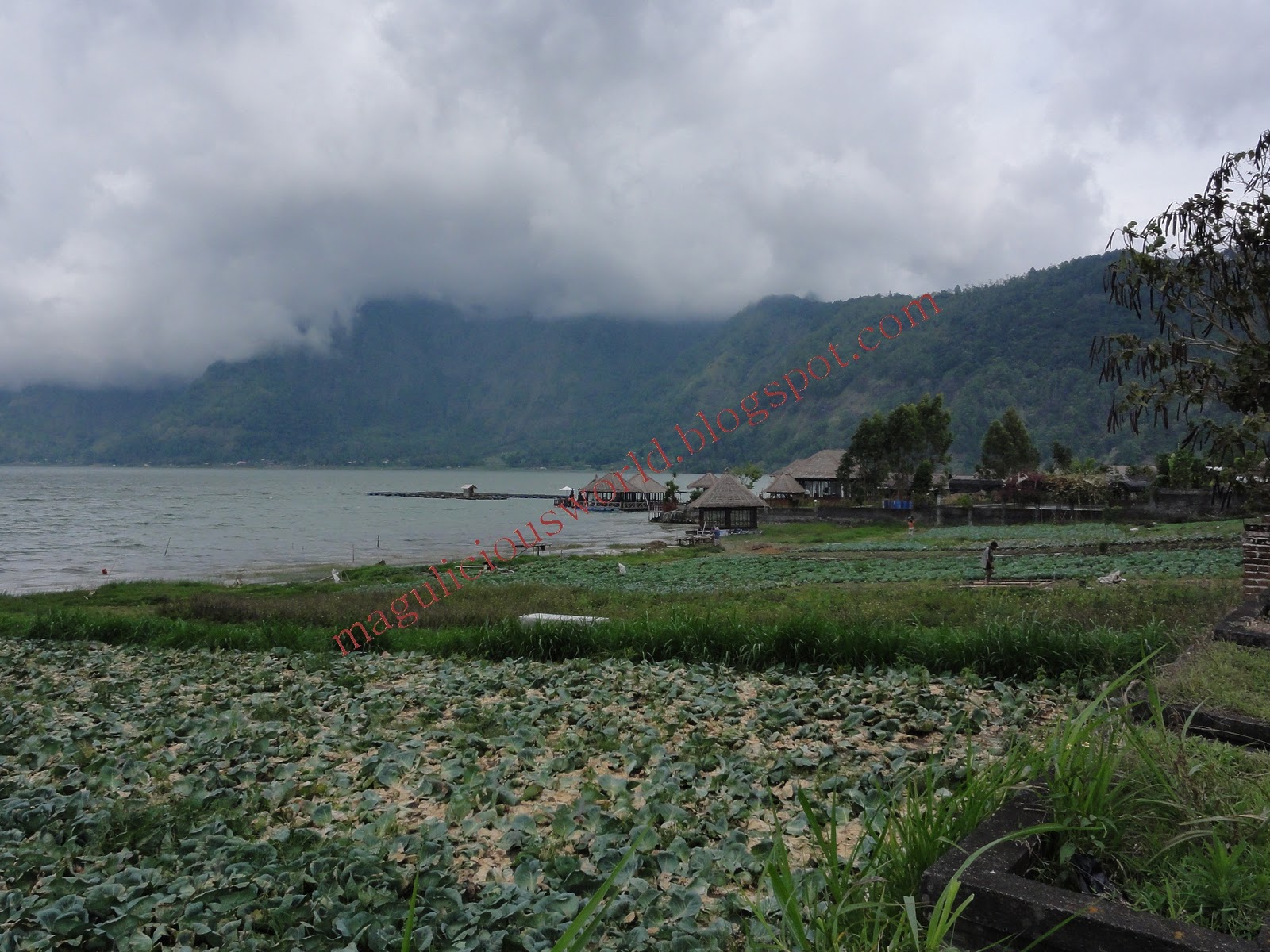 Batur Danau, Bali | Magu Bee at World's End