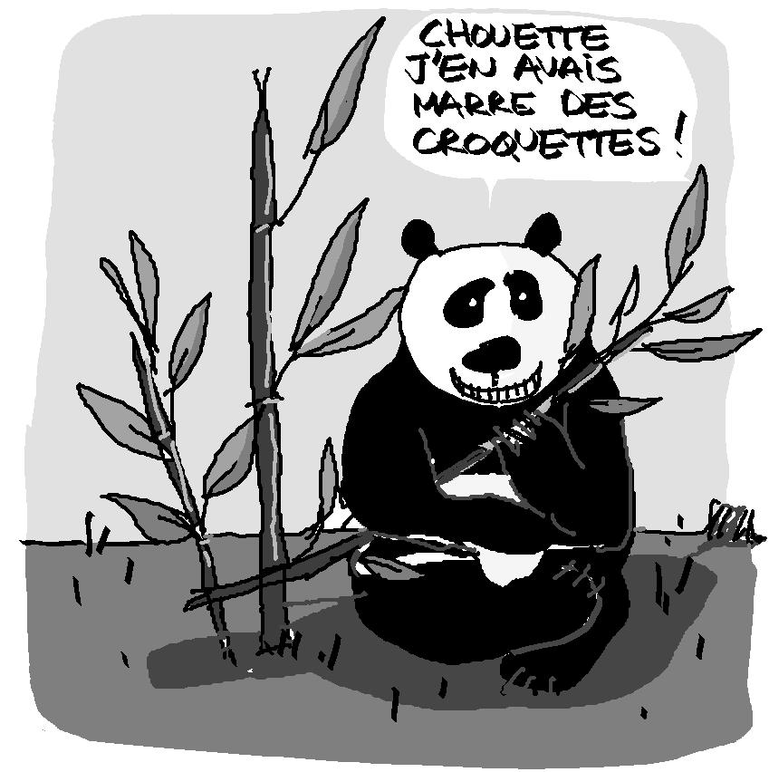 [panda.jpg]