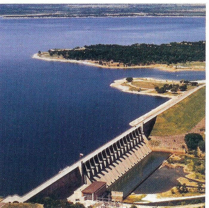 Roadrunner's Travels Lake Whitney,Texas