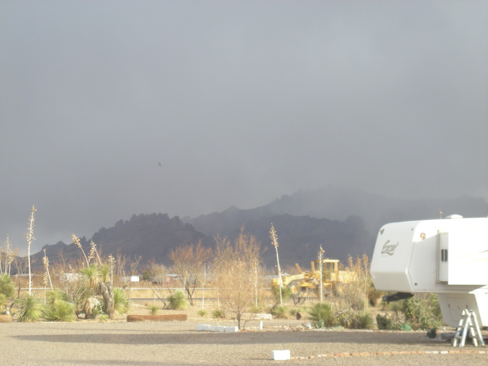 Roadrunner's Travels Bad Weather in Deming!