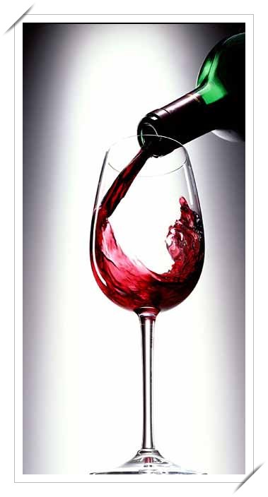 [leb-i+derya+alkol.jpg]