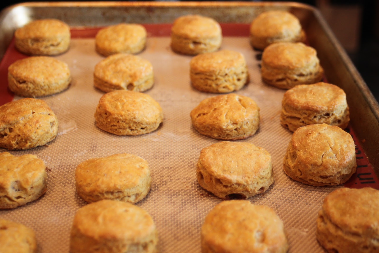 Good Clean Fun Thanksgiving Inspiration Sweet Potato Biscuits with