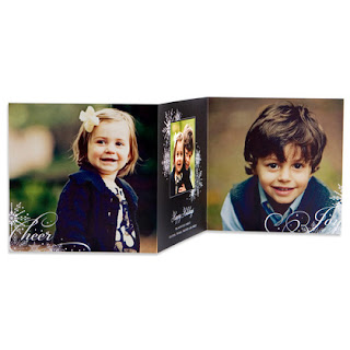 The Honey Do Girl : Tiny Prints: Christmas Cards