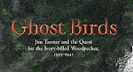 Ghost Birds blog