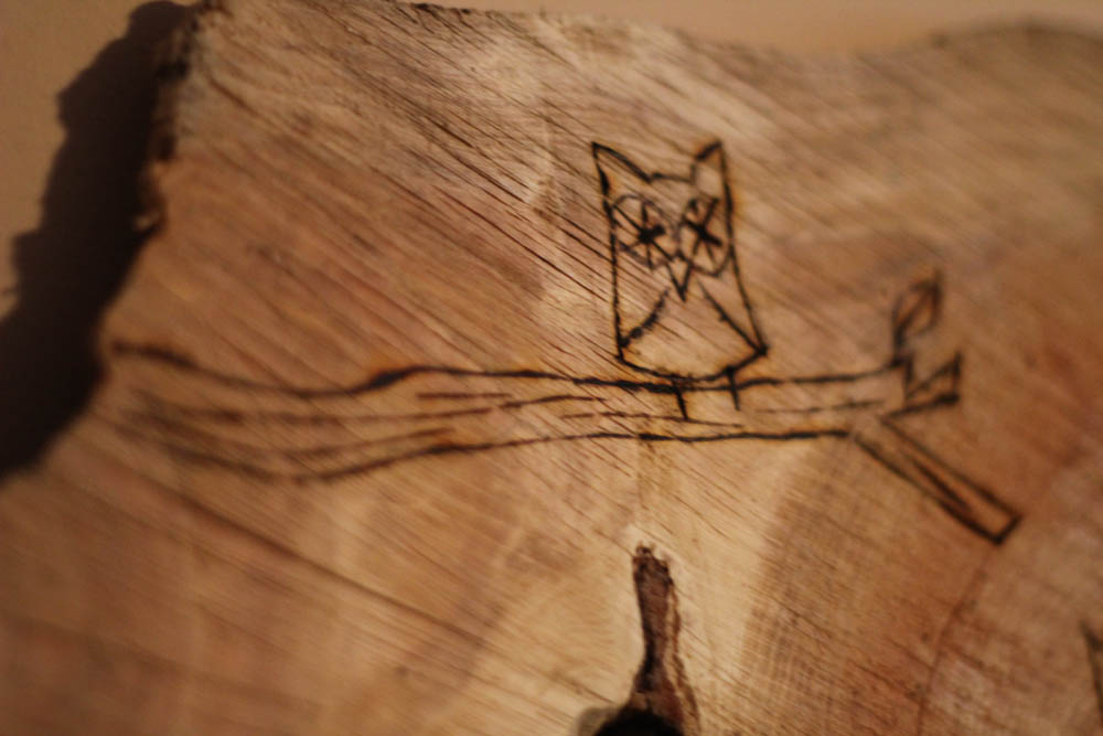 sassafras wood burning project idea