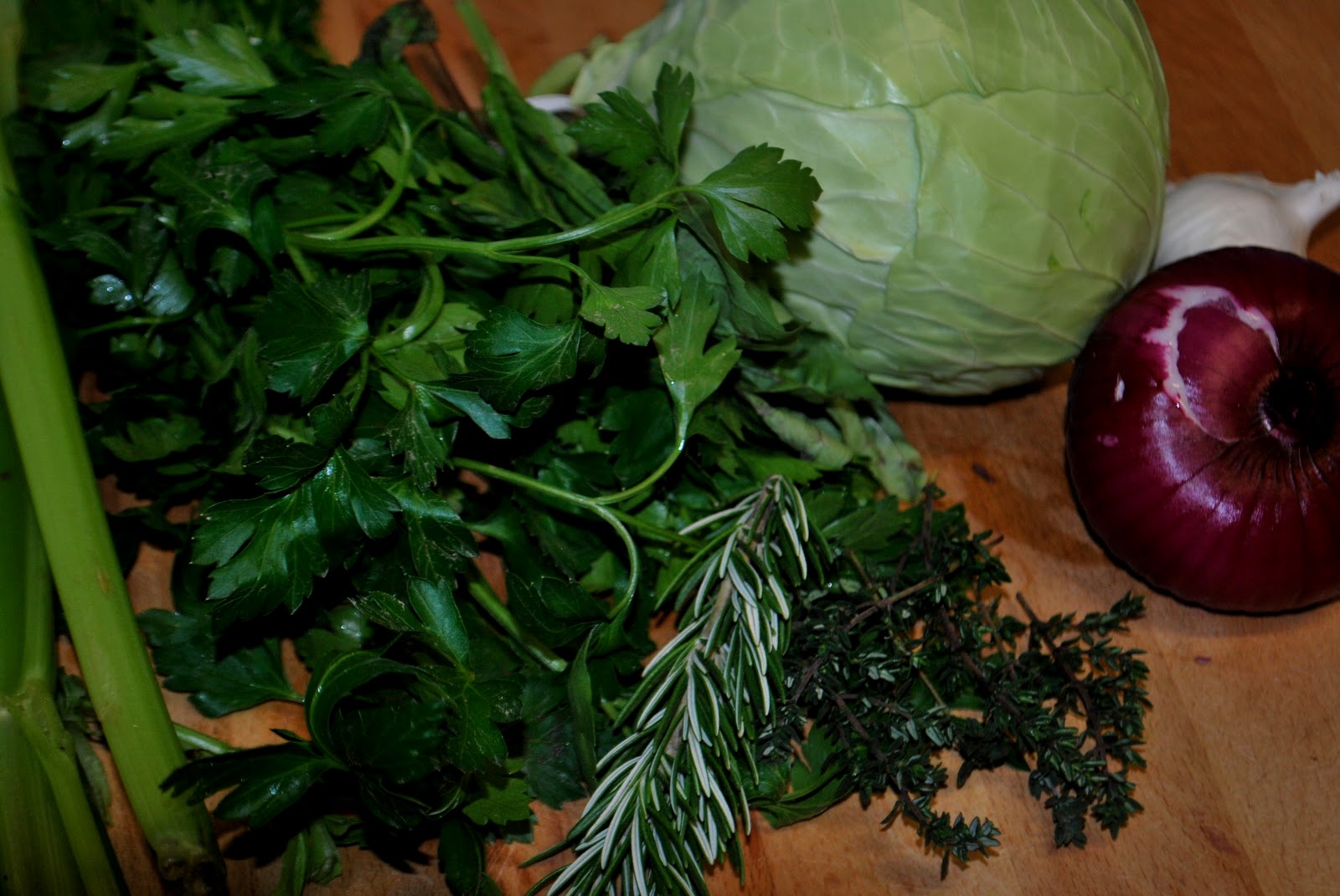 The Moptop The Premier Source For All Things Creative, Fly