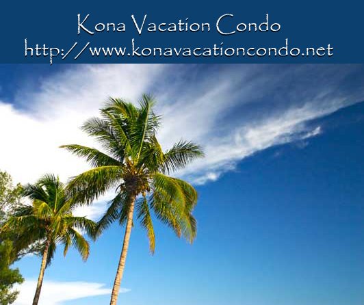 Kona Vacation Condo