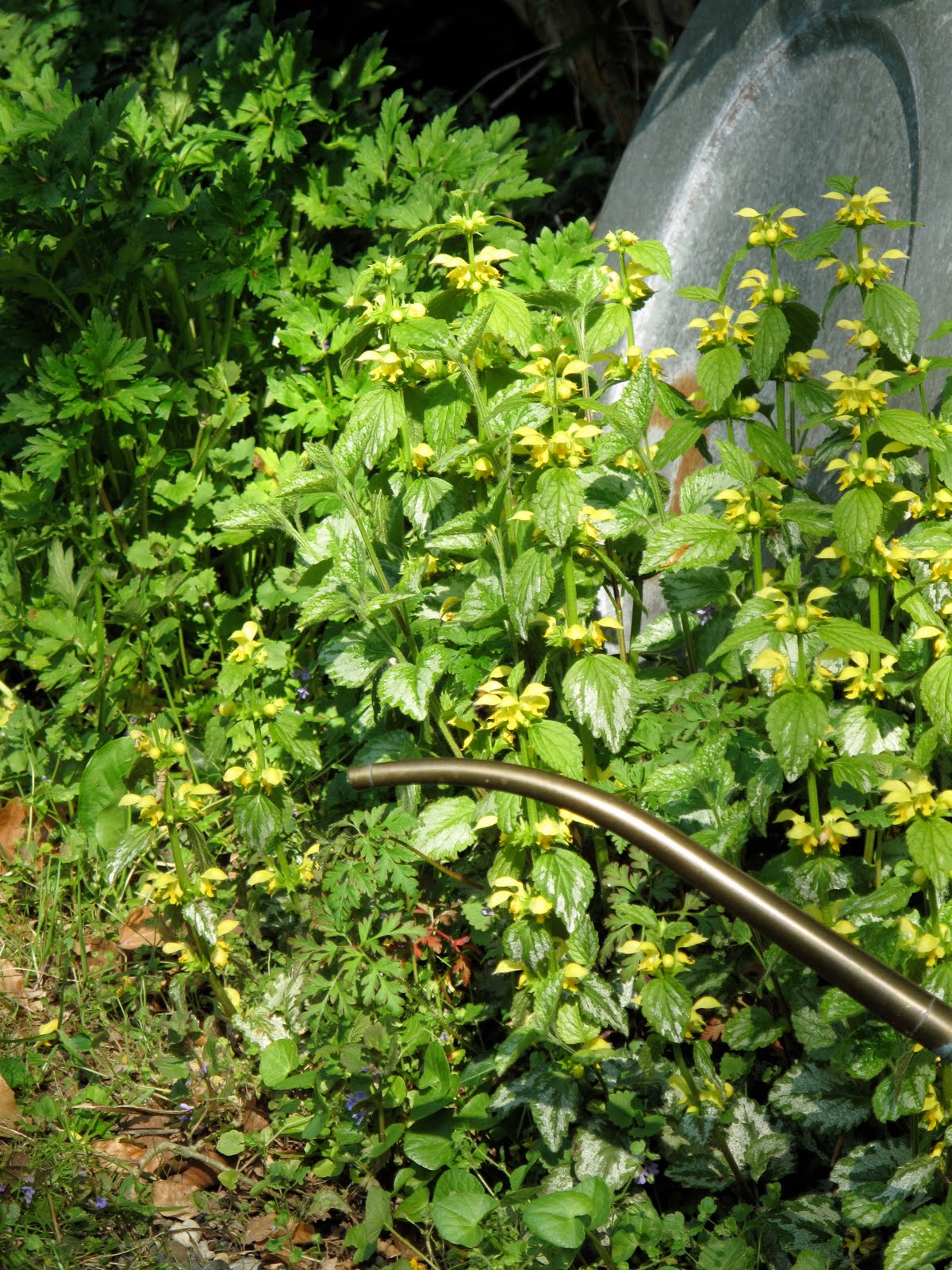 Norvig File Autosaved Xlsx Mafiadoc Com