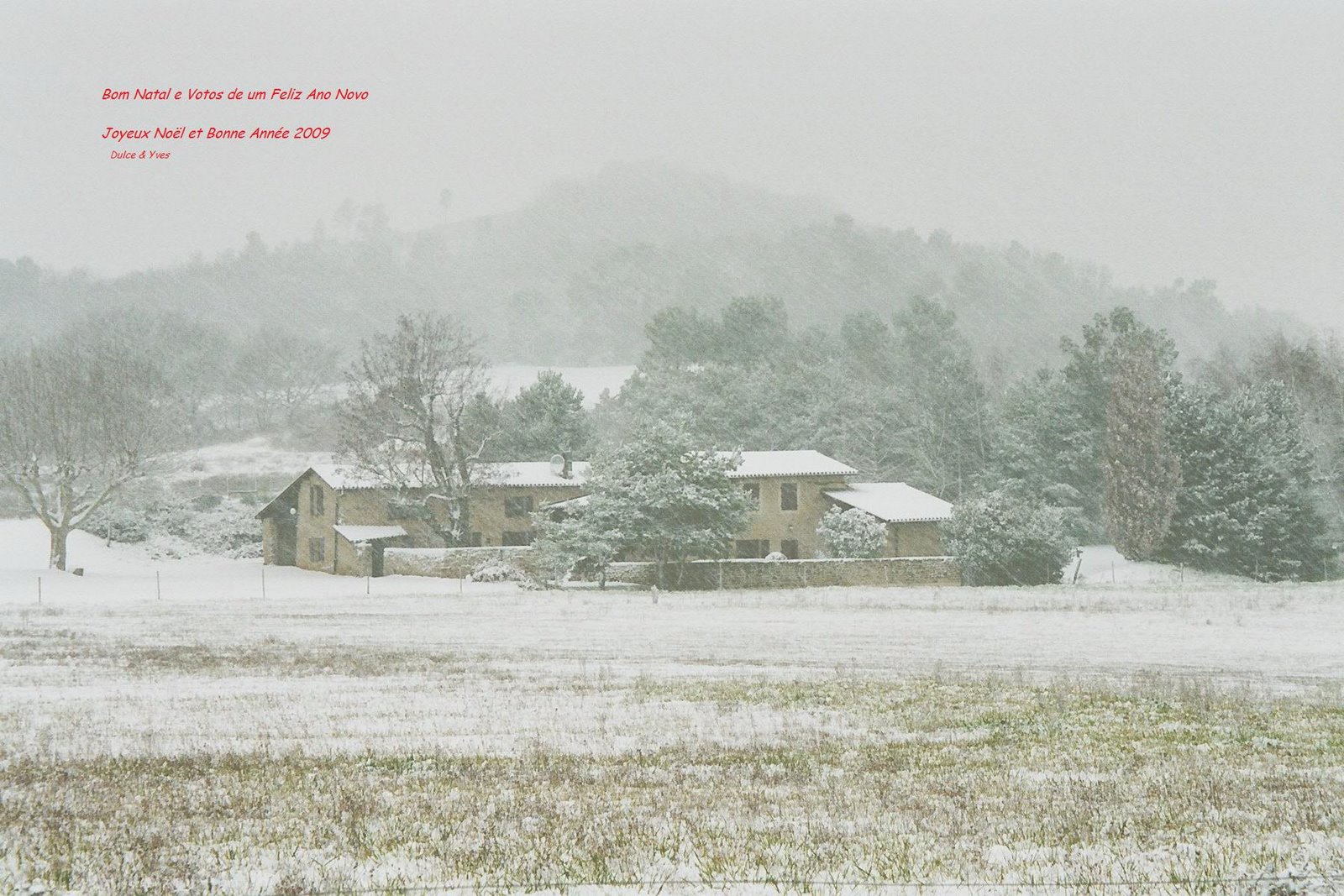 [Bonnes+Fêtes+-+2009.jpg]