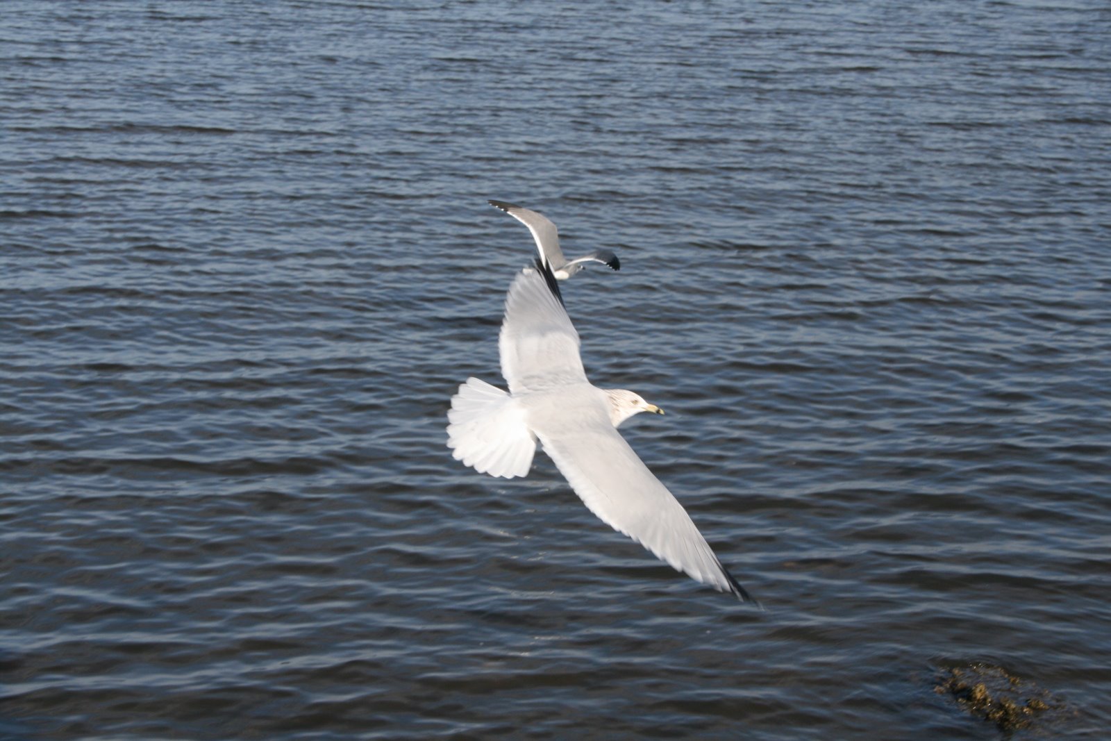 [IMG_2665.JPG]