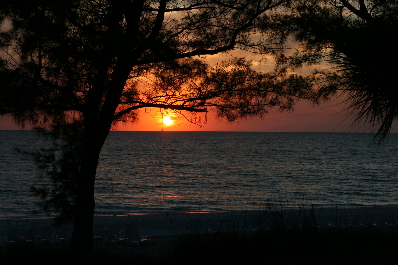 [IMG_3333.JPG]