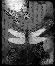 THE WHIMSEY ASYLUM...