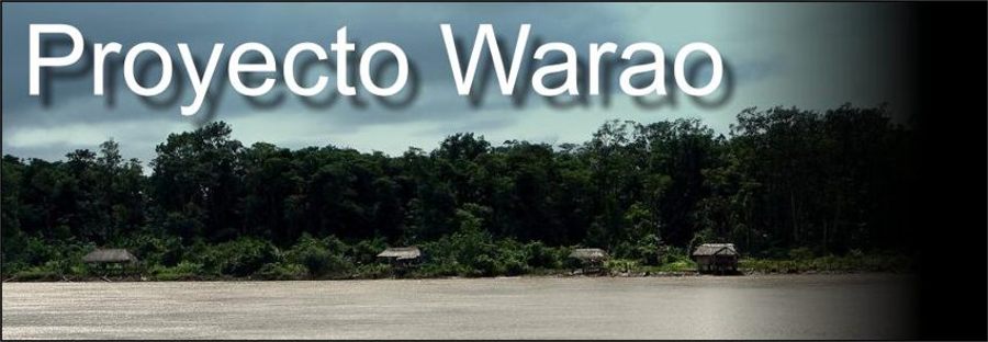 Mega Proyecto Warao