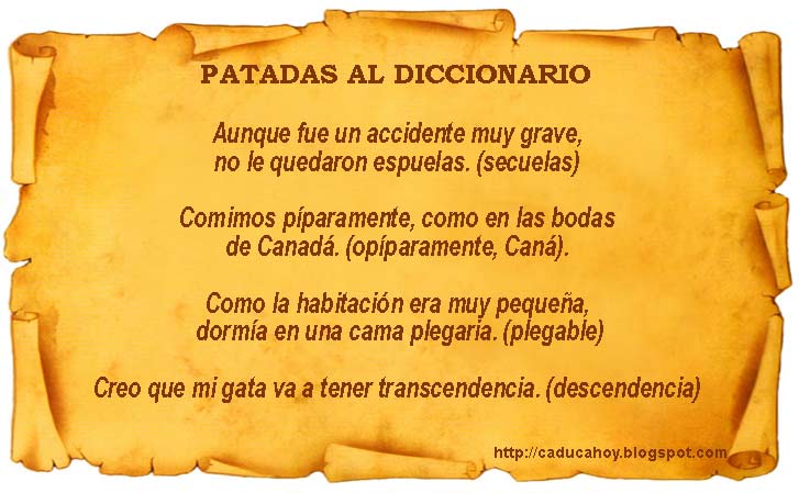 Xcba Significado Y Uso Correcto De Pacata – ZSANC