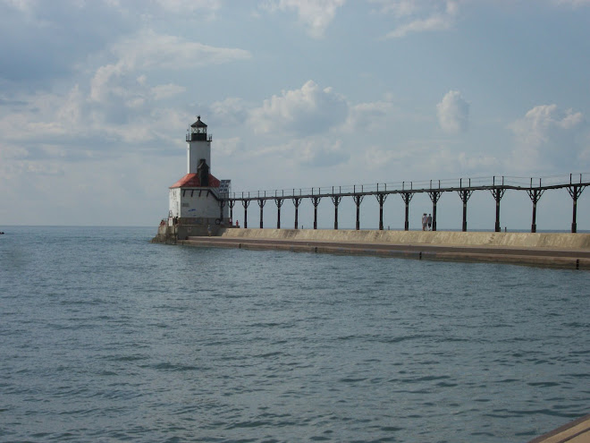 Trip to lake michigan July 09