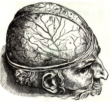 Rodrigo Calafange Em Branco