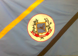 Resultado de imagem para bandeira de urandi bahia