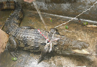 DSCF0744.jpg