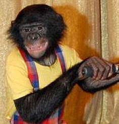 [article-0-07D4D104000005DC-936_468x511.jpg]