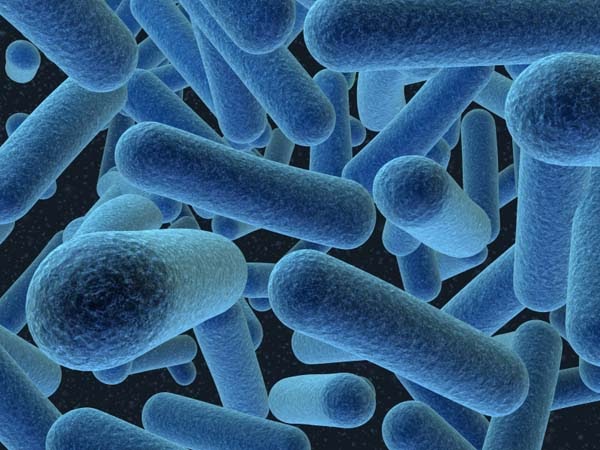 Mengenal Bakteri ~ Laboratorium Mikrobiologi