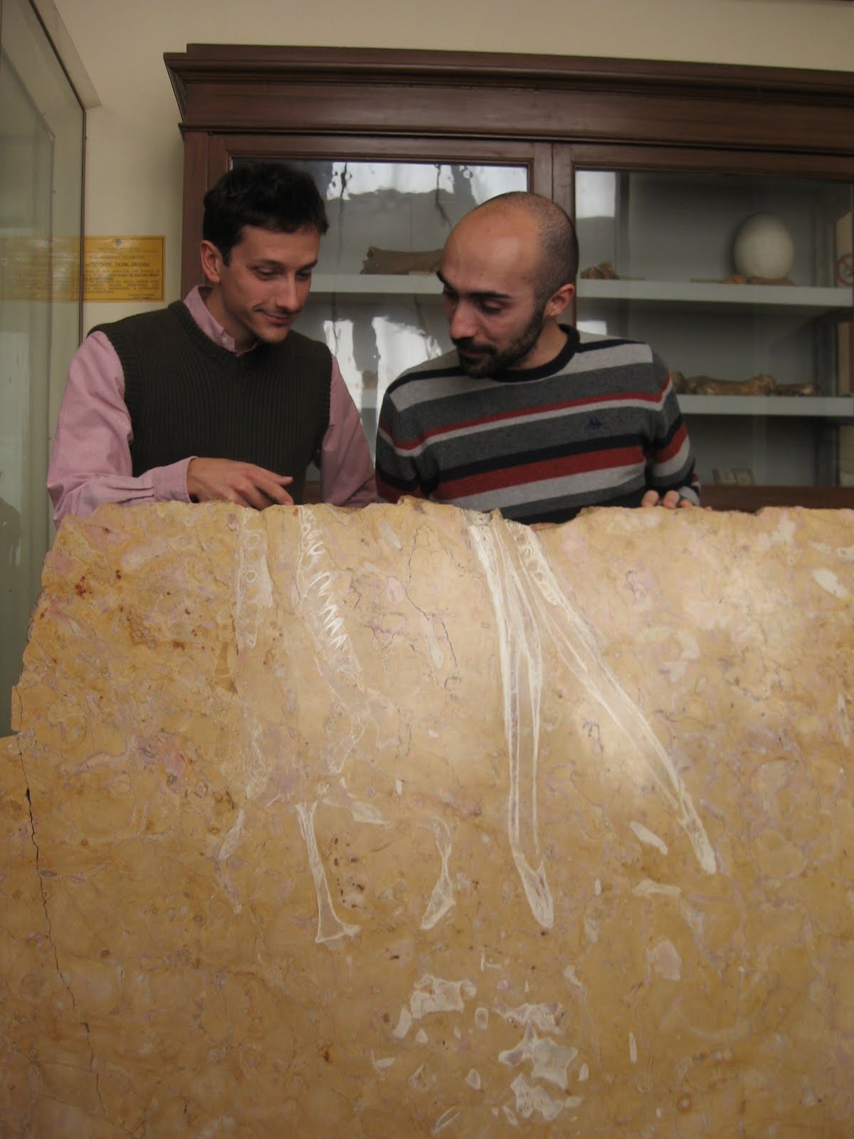 Is Induction Cooking Harmful