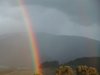 rainbow(onemorehandbag)