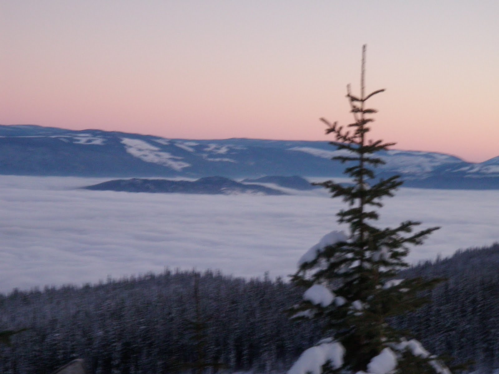 [PC270150.JPG]